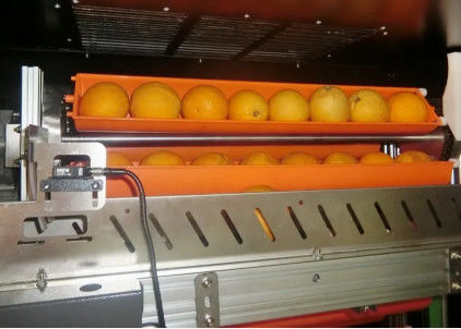 Máy bán nước trái cây chợ đen 800W cho cam Apple